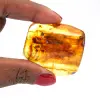 Geel amber - 0