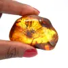 Natuurlijk geel amber - 0
