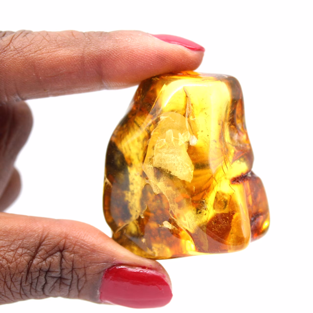 Gefossiliseerde ambersteen