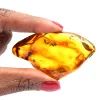 Amber - 0