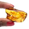 Amber - 0