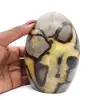 Gepolijst gepolijst septaria-blok - 0