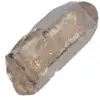 Rookkwarts uit Madagaskar - 2