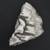 Zebra jaspissteen - 1