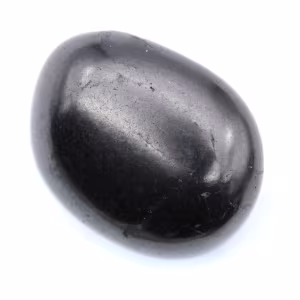 Shungite kiezelsteen