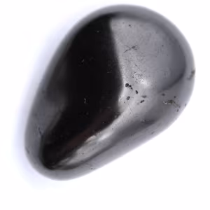 Shungite kiezelsteen