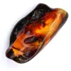 Gefossiliseerde ambersteen - 0