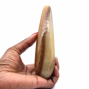 Calciet Staf
