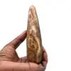 Calciet Staf - 9
