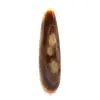 Calciet Staf - 1