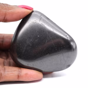 Shungite kiezelsteen