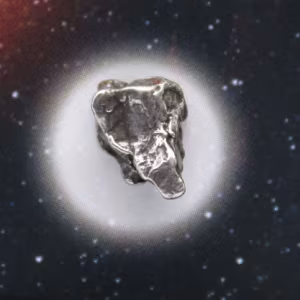 Meteorietfragment