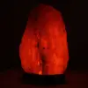 Himalaya Zout USB Lamp Pakistan - 1