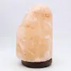 Roze Himalaya Zoutlamp - 2