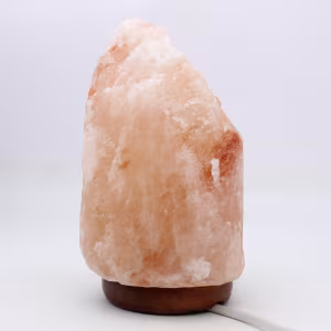 Roze Himalaya Zoutlamp