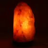 Roze Himalaya Zoutlamp - 1