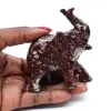 Olifant - 3