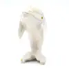 Dolfijn - 1