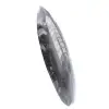Fossiele Orthoceras - 2