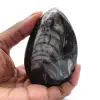 Fossiele Orthoceras uit Marokko - 0