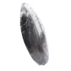 Orthoceras fossiel Marokko - 2