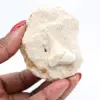 Fossiele otodus tand uit Marokko - 2