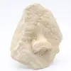 Fossiele otodus-haaientand - 0