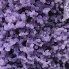 Chalcedoon druiventros - 15