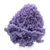 Chalcedoon druiventros - 6