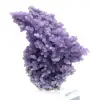 Chalcedoon druiventros - 5