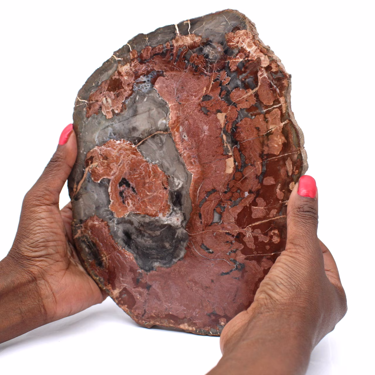 Plak natuurlijk versteend hout