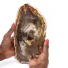 Gepolijst versteend hout uit Madagaskar - 0