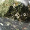 Natuurlijke decoratieve chrysopraas - 6