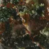 Natuurlijke chrysopraas - 6