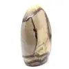 Septaria voor verzameling uit Madagaskar - 2