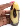 Septaria voor verzameling - 0