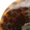 Natuurlijke geheel gepolijste ammoniet uit Madagaskar - 4