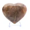 Microklien van Madagaskar - 0