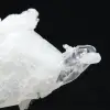 Himalaya kwarts - 5