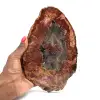 Natuurlijk gepolijst versteend hout - 0