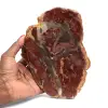 Plak verkiezeld hout uit Madagaskar - 0