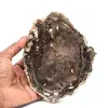 Plak natuurlijk versteend hout - 0