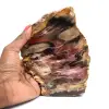 Natuurlijk gefossiliseerd hout - 0