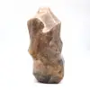 De maansteenvlam van Madagaskar - 1