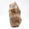 Microklien van Madagaskar - 2