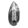 Gepolijste Orthoceras Fossiel - 1