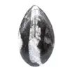 Gepolijste orthoceras - 1