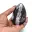 Fossiel van Orthoceras uit Marokko — 2