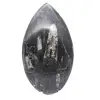 Orthoceras fossiel Marokko - 1
