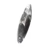 Orthoceras fossiel Marokko - 2